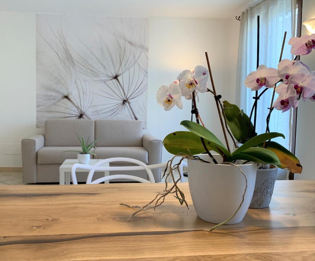 Appartement Casa Ulivi Bianco à Rivoltella del Garda Extérieur photo